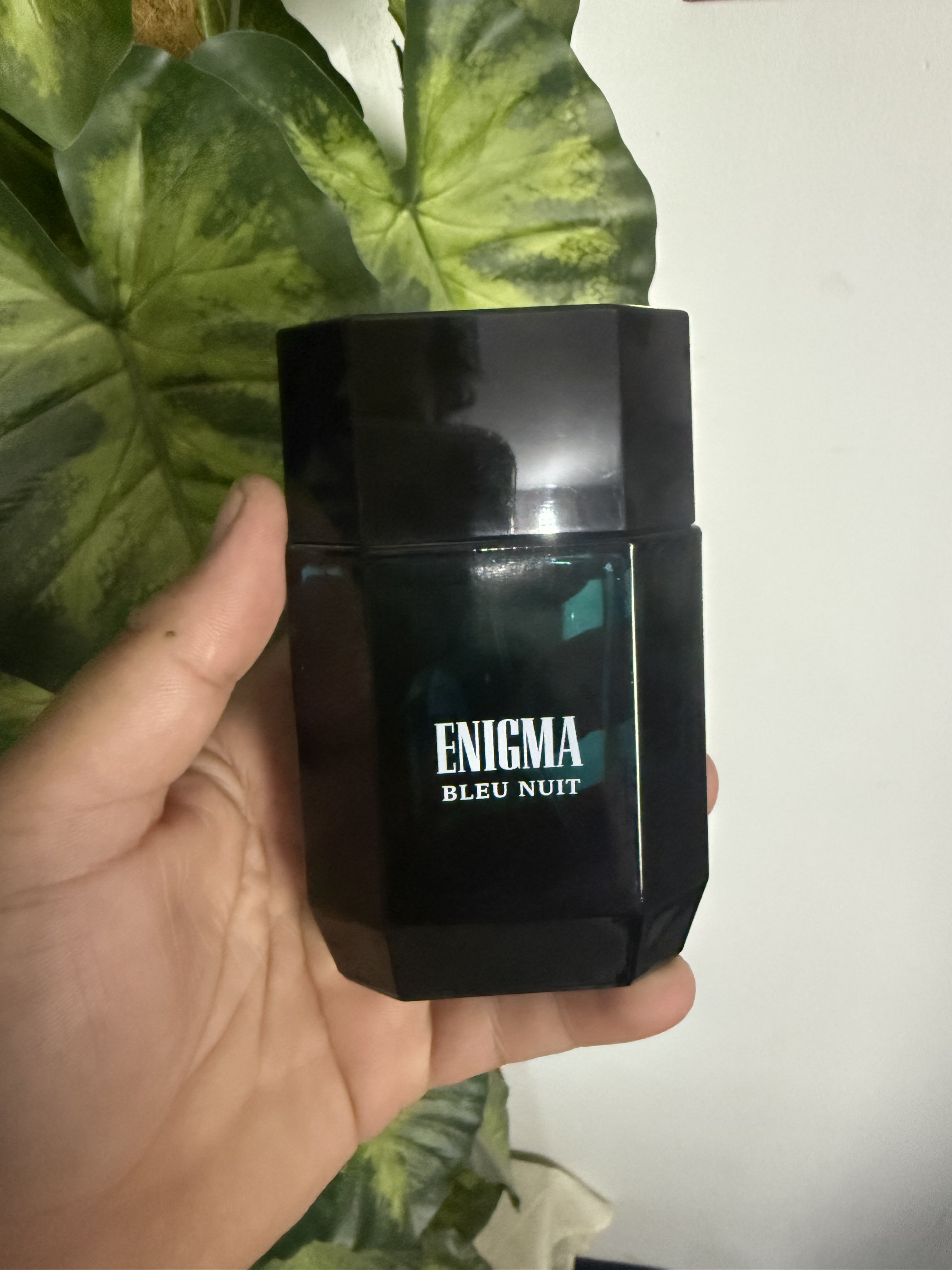 Enigma blue nuit - original